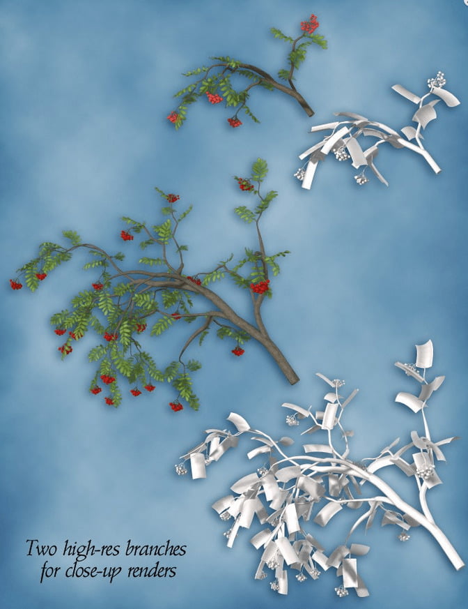 Rowan Trees Megapack