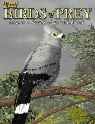 10696-songbird-remix-birds-of-prey-2-hawks-of-the-old-world-42b-main-1