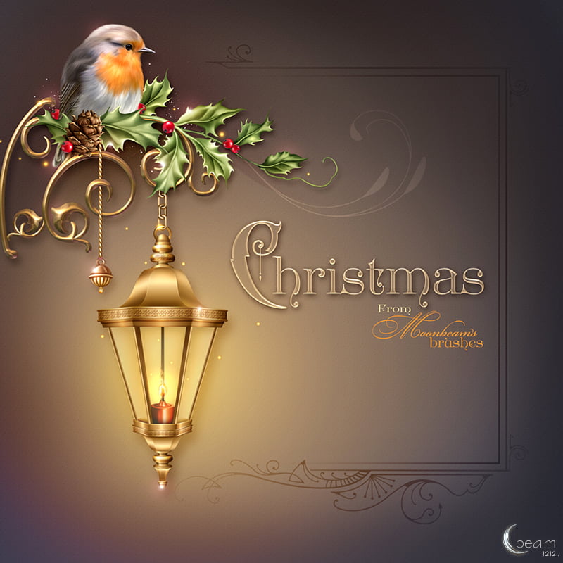 Moonbeam's Christmas