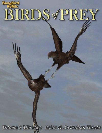 10709-sbrm-birds-of-prey-2-mini-set-asian-australian-hawks-main-1