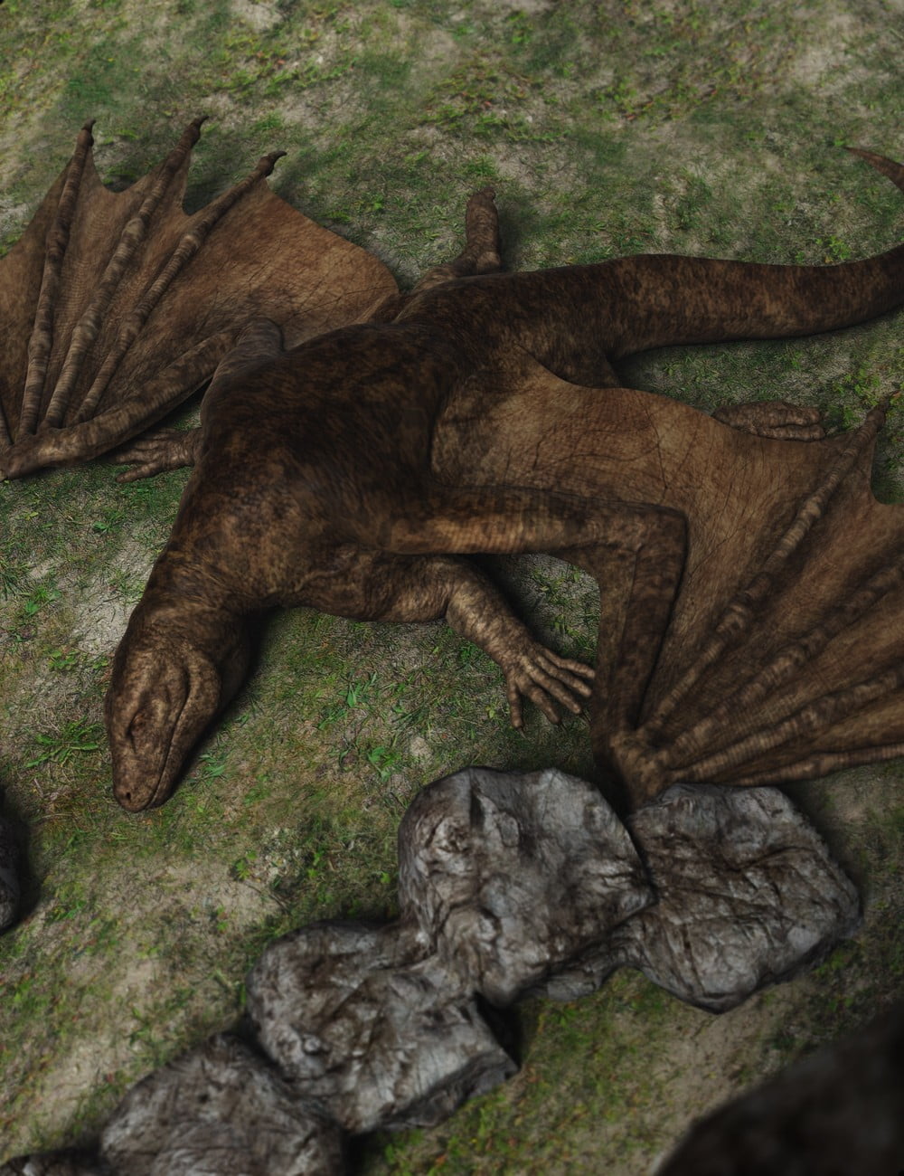 Komododreki - The Komodo Dragon HD