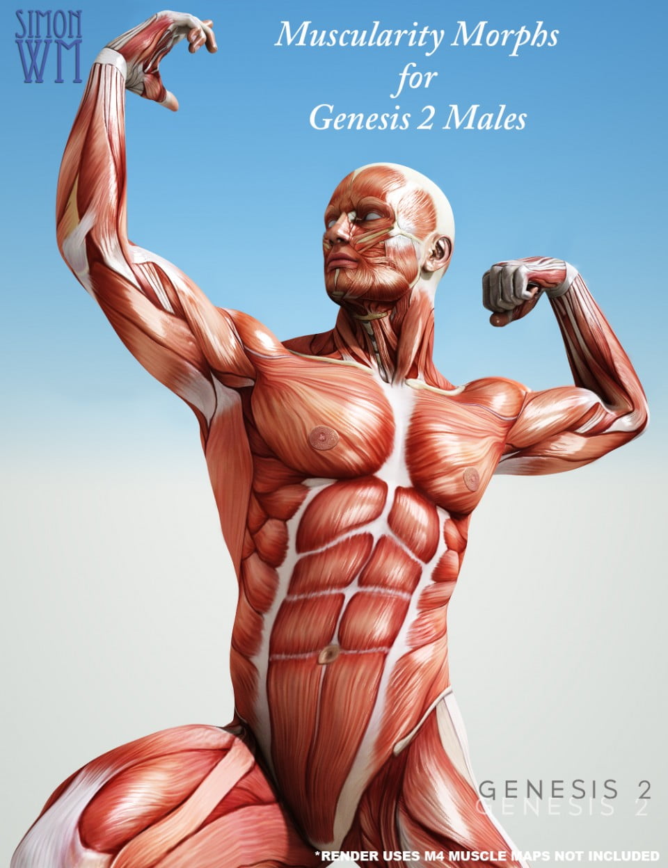 Muscularity Morphs for Genesis 2 Male(s)