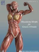 Muscularity Morphs for Genesis 2 Female(s)