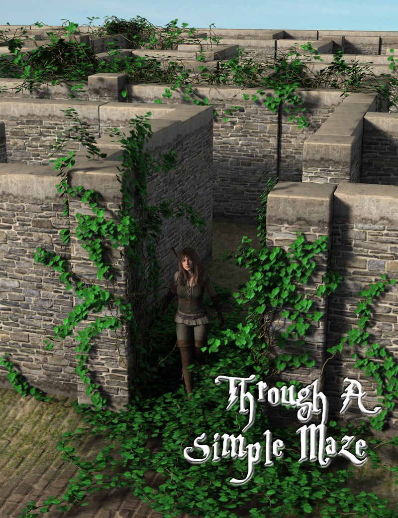 Through A Simple Maze