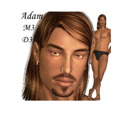 Adam for M3 and David