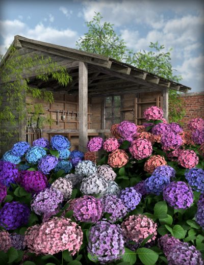 00-main-hydrangea-daz3d-1