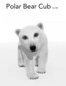 Polar Bear Cub by AM