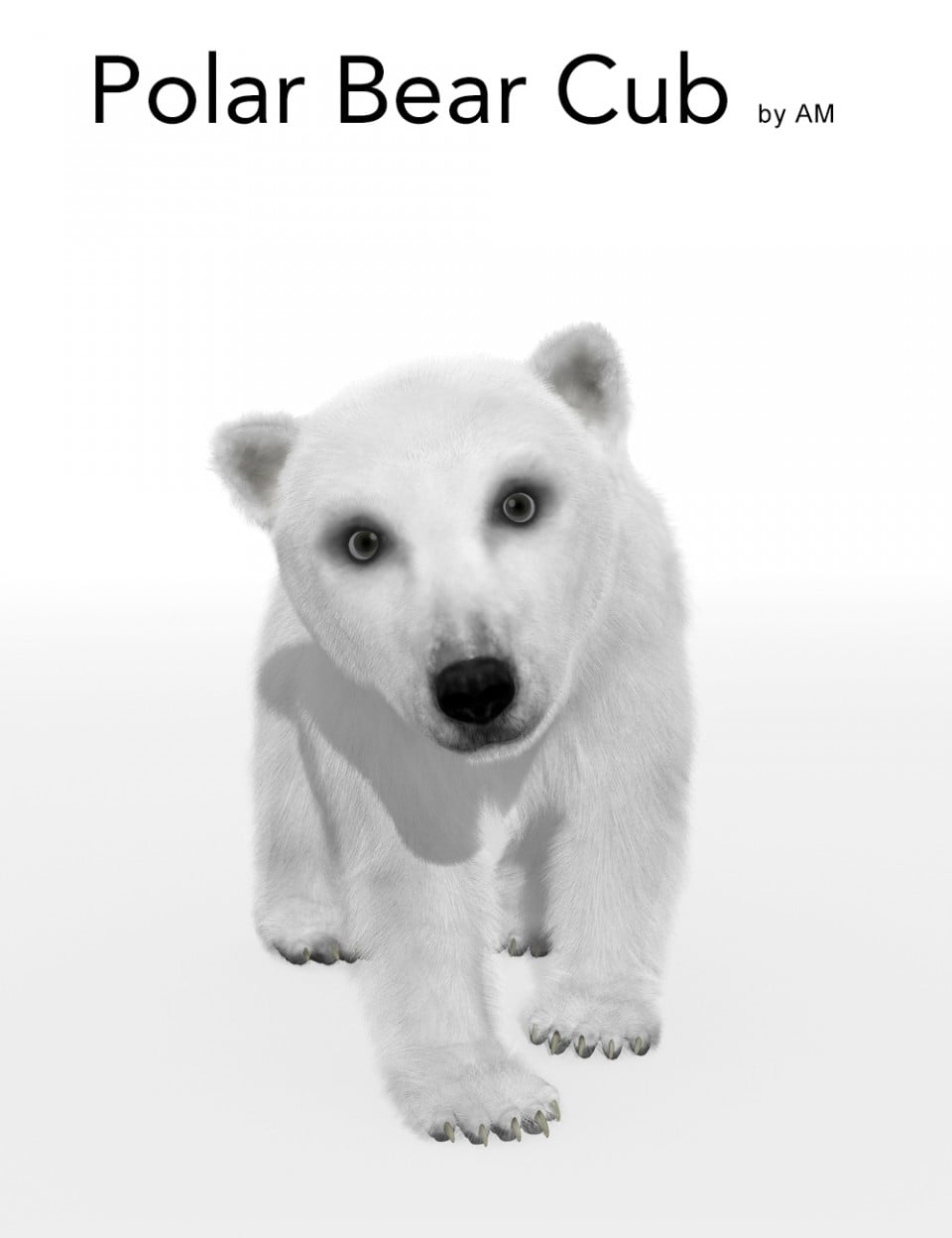 Polar Bear Cub by AM ⋆ Freebies Daz 3D