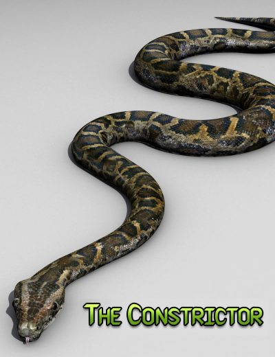 00-main-the-constrictor-daz3d-1