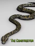The Constrictor