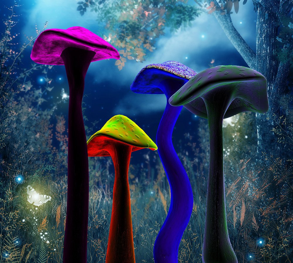 Mushroom Fantasy