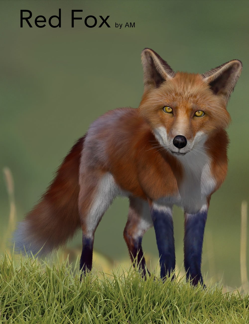 Red foxes сайт. Красная лиса. Лиса красная лиса. Рыжий Лис. Фокс Фокс лиса Фокс.