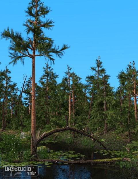 Nature - Lake and Forest