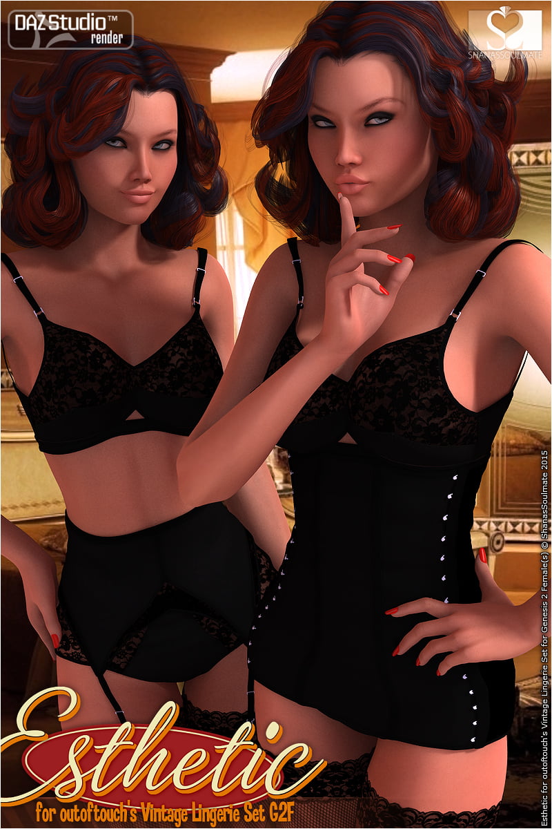 Esthetic for Vintage Lingerie Set