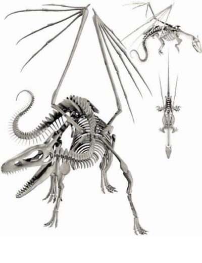 dragon-skeleton-articulate-vertebrae-large-1