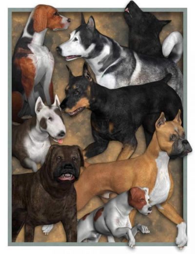 millennium-dog-bundle-large-1