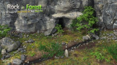 01-rock-in-forest-daz3d