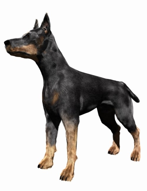 Real Fur for the Millennium Dog