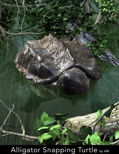00-main-alligator-snapping-turtle-daz3d-1