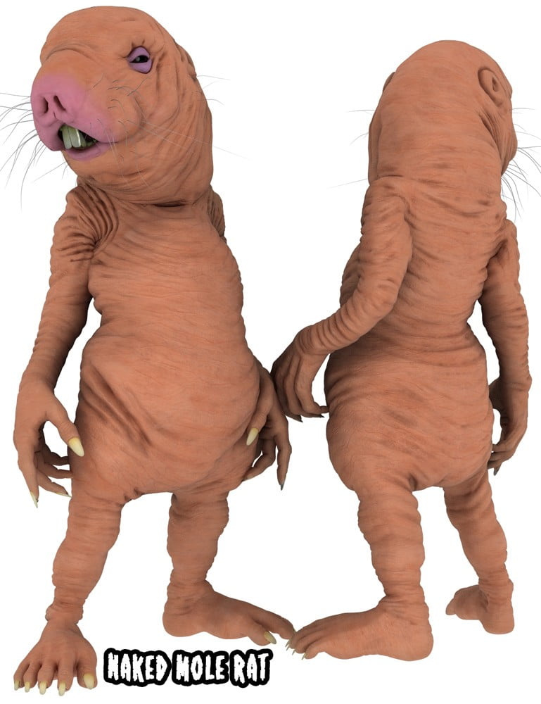 Mr Mole and the Attack of the Naked Mole Rats