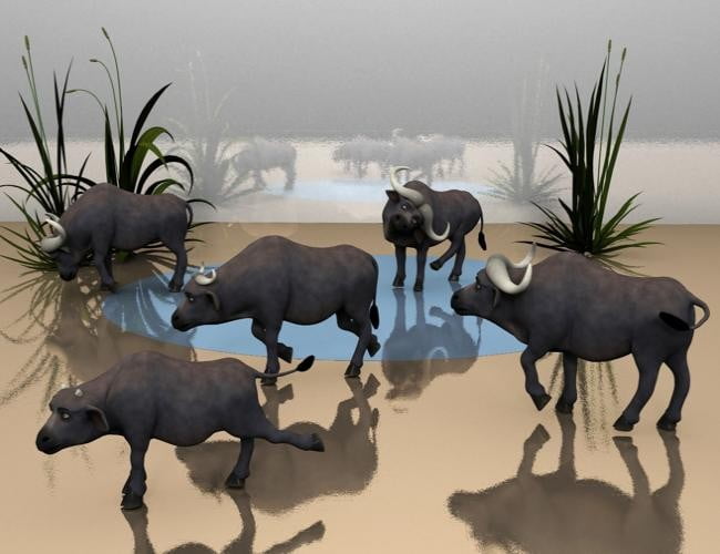 African Big 5 Toon Poses