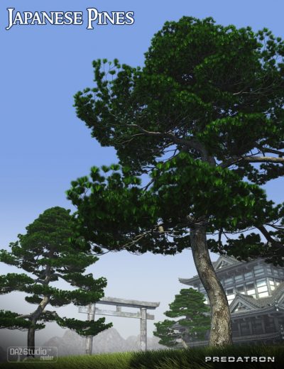 00-main-japanese-pines-daz3d-1