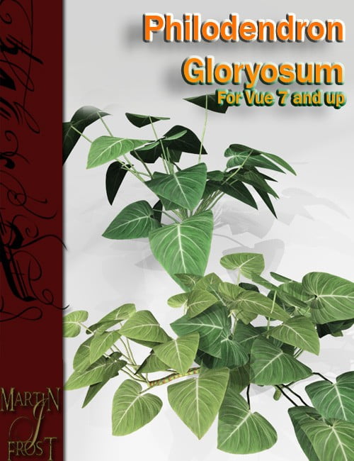 Philodendron gloryosum – Jungle Plants for Vue