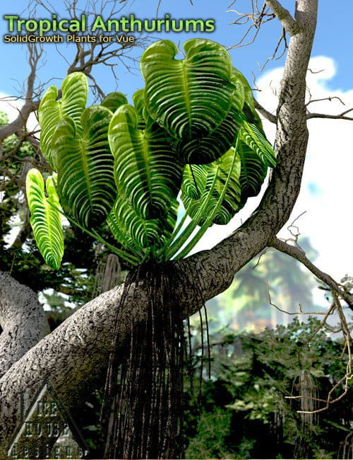 Tropical Anthuriums for Vue