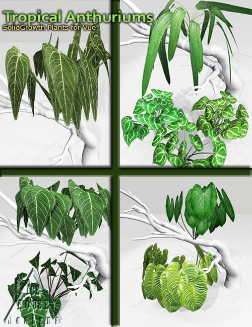 Tropical Anthuriums for Vue