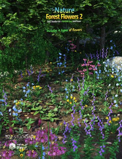 00-main-nature-forest-flowers-2-daz3d-1