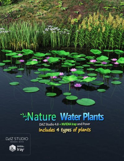 00-main-nature-water-plants-daz3d-1