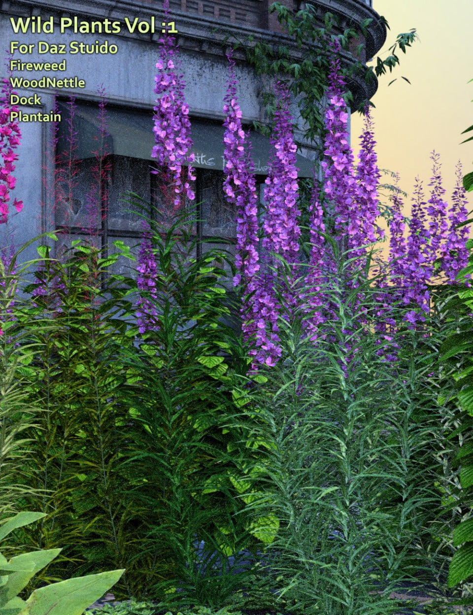 Wild Plants Vol: 1 for Daz Studio