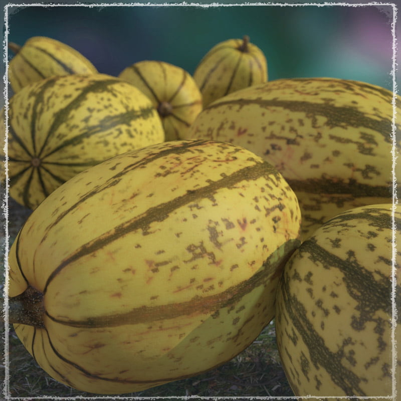 Photo Buffet: Pumpkin Field