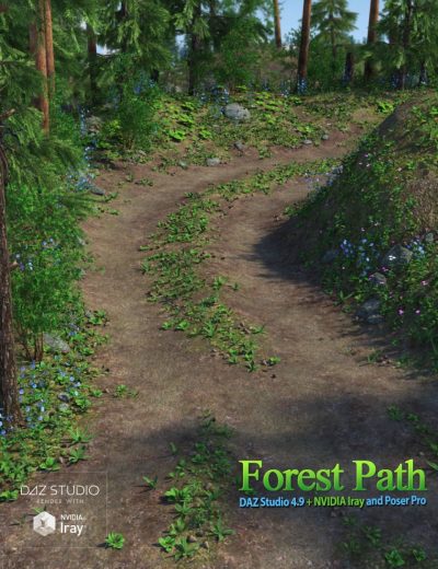 00-main-forest-path-daz3d-1