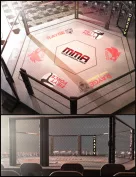 MMA Fighting Arena