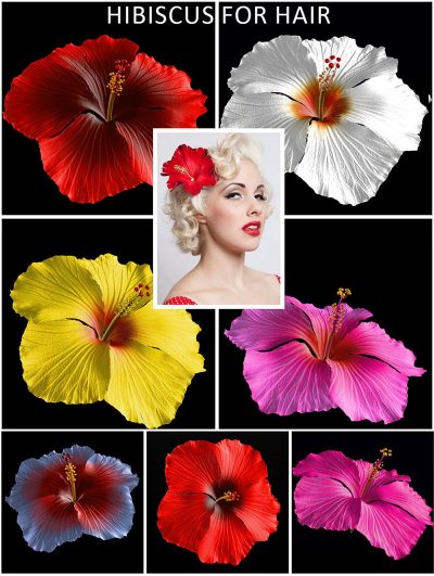 Full104036_08f0cba2f78519e2b376f30463a54673-1