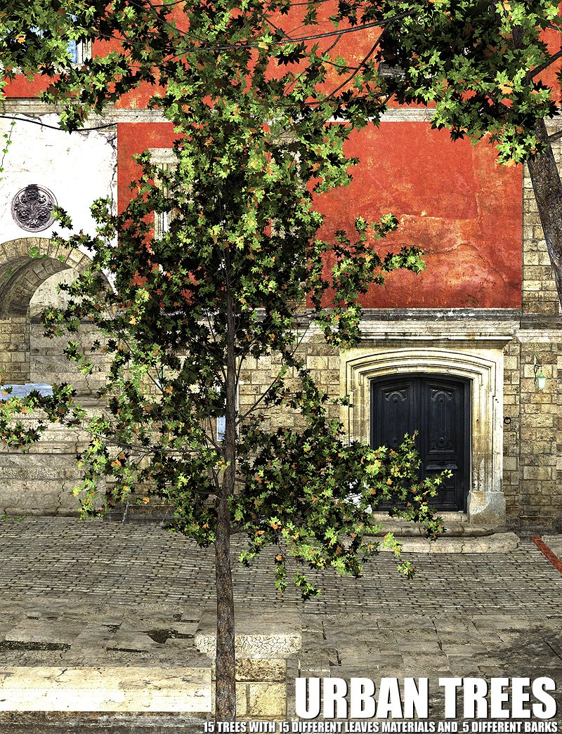 Urban Trees