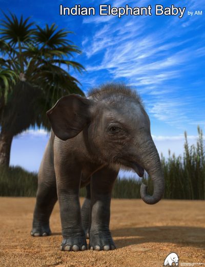00-main-indian-elephant-baby-by-am-daz3d-1