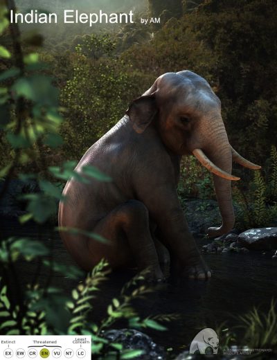 00-main-indian-elephant-by-am-daz3d-1