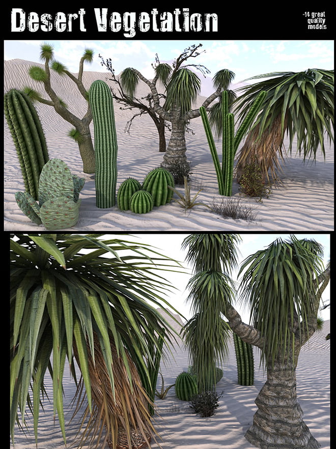Desert Vegetation