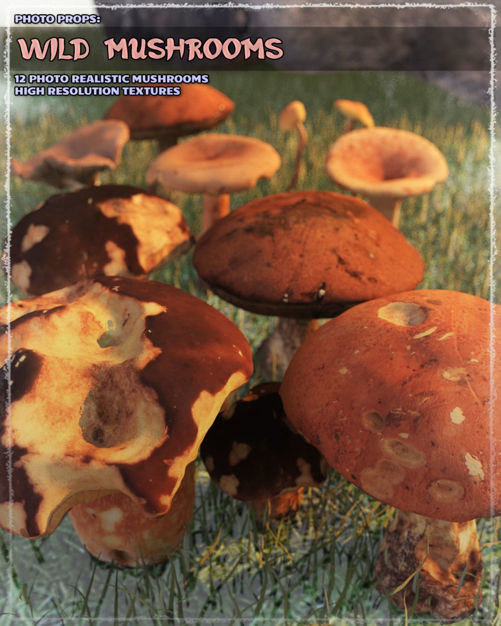 Photo Props: Wild Mushrooms