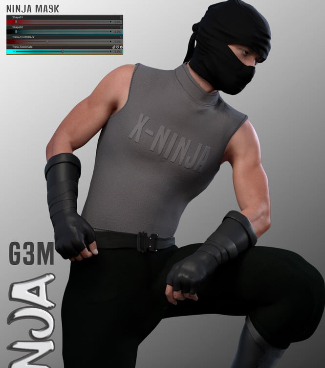 X-Ninja for G3M