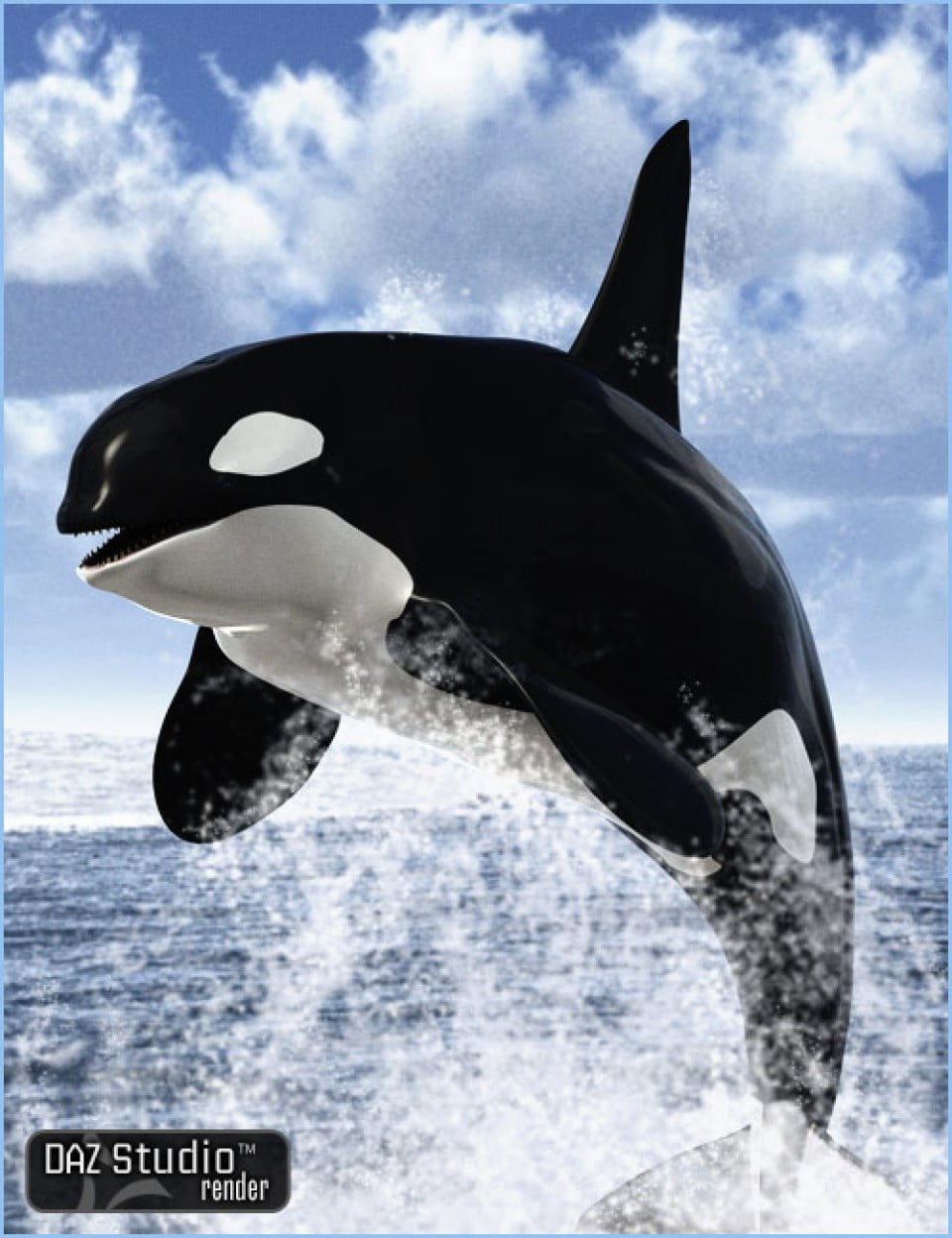 orca-killer-whale-large