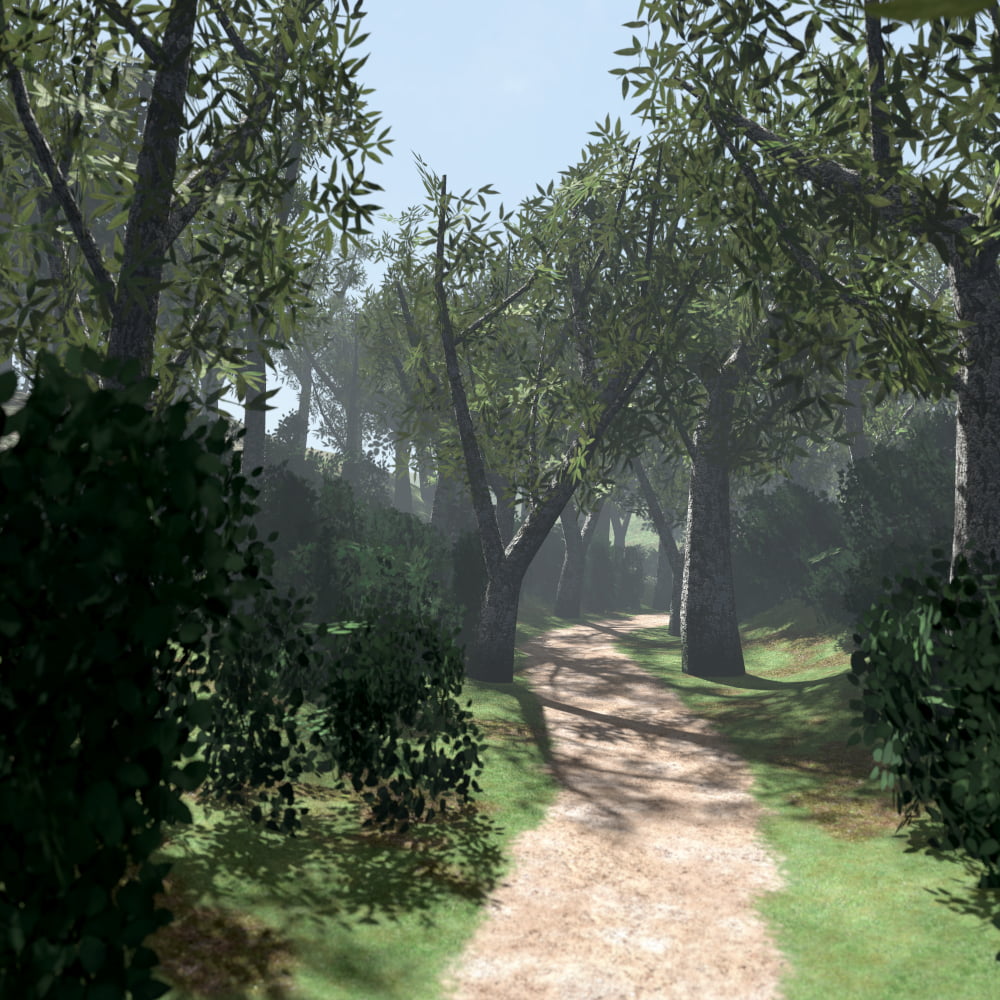 Park and Nature scene