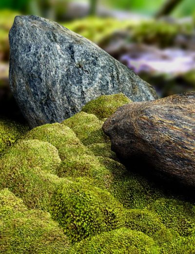 traveler_s_naturals_-_moss_clumps_vol_1-1