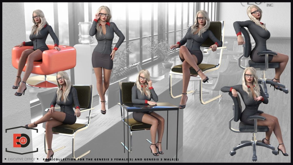 i13 Executive Poses
