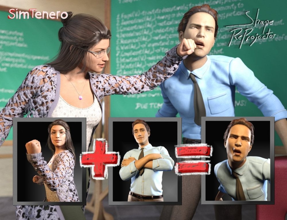 SimTenero Shape Reprojector