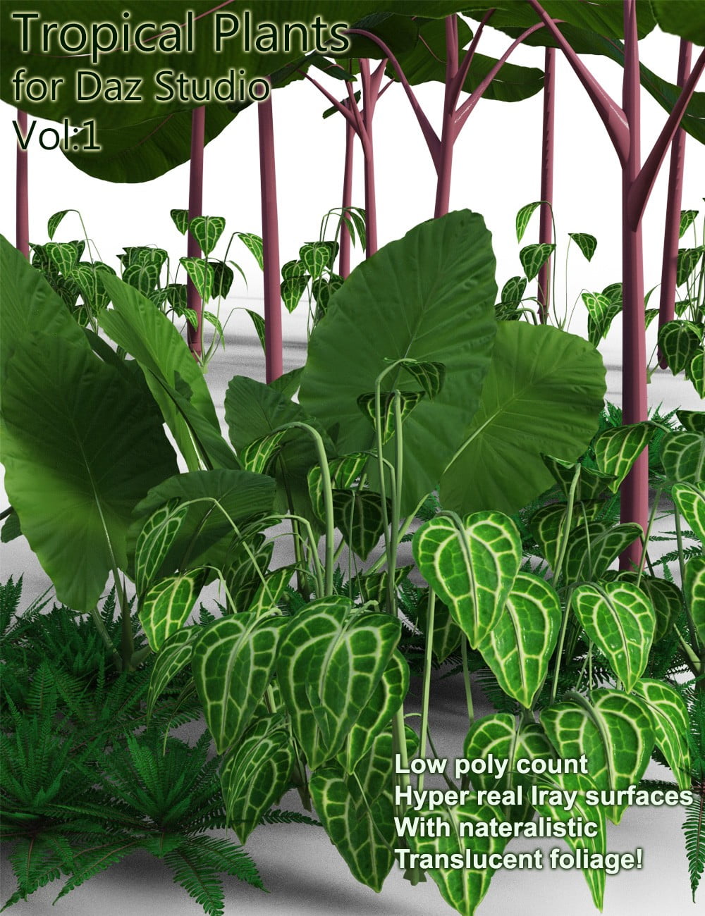 06-tropical-plants-for-daz-studio-and-iray-vol1-daz3d