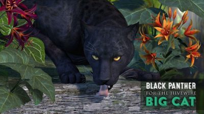 1356-cwrw-black-panther-for-the-hivewire-big-cat-02-2