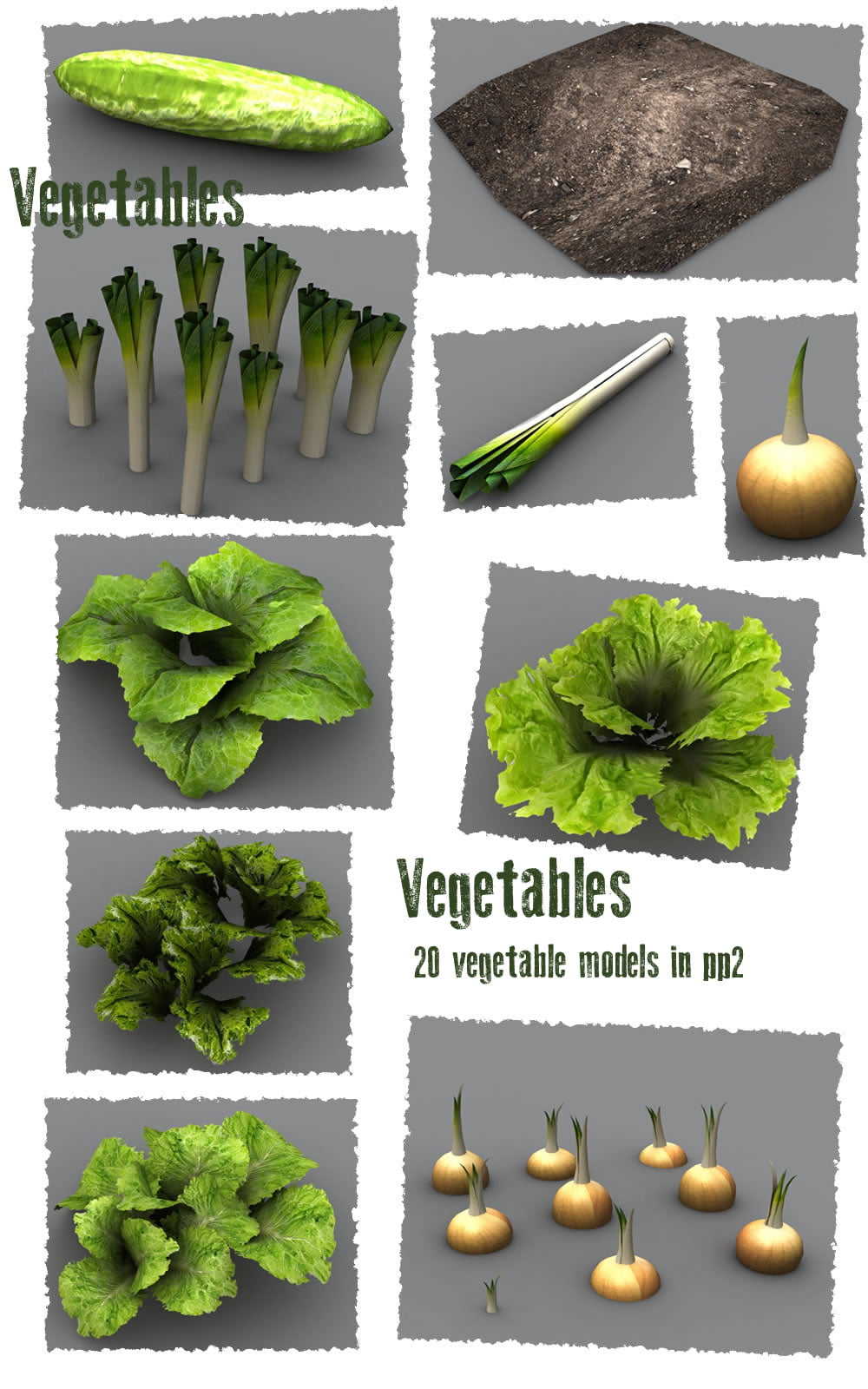 Vegetable Plants